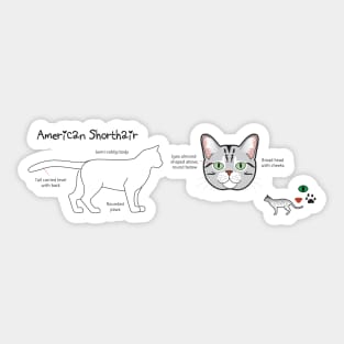 American Shorthair mug Sticker